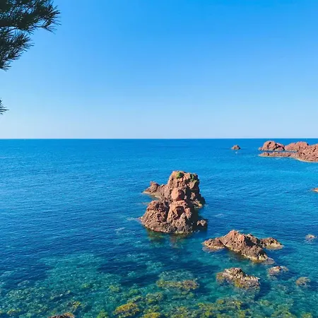 3 Pieces Elegant - Clim Terrasse Parking - Apartament Saint-Raphaël