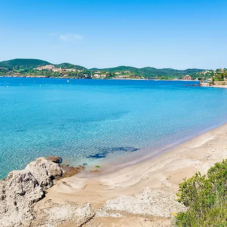 3 Pieces Elegant - Clim Terrasse Parking - *