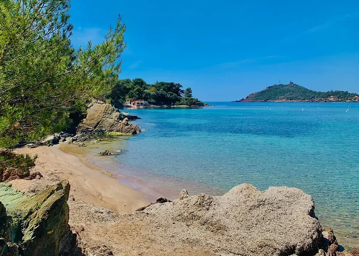 3 Pieces Elegant - Clim Terrasse Parking - 아파트 Saint-Raphaël