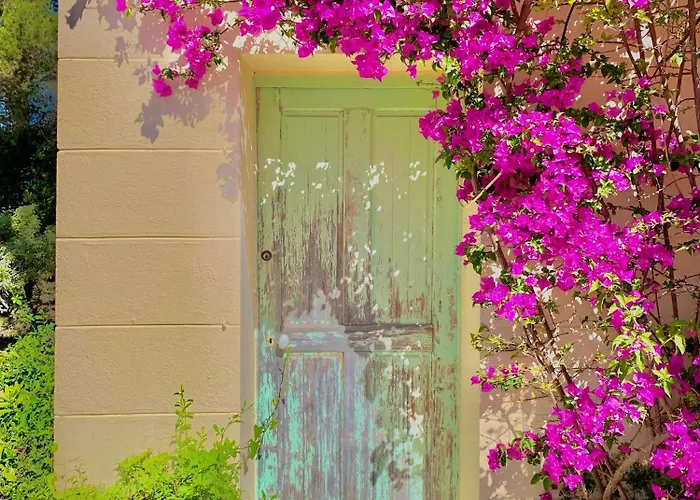 3 Pieces Elegant - Clim Terrasse Parking - アパート *