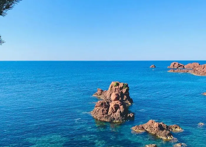 3 Pieces Elegant - Clim Terrasse Parking - 아파트 Saint-Raphaël